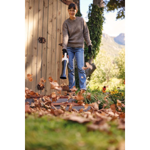 Souffleur stihl BGA 30 en pack